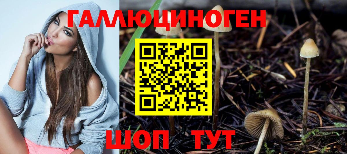 Псилоцибиновые грибы прущие грибы Сызрань
